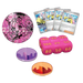 Iono Premium Tournament Collection - Iconic Evolution