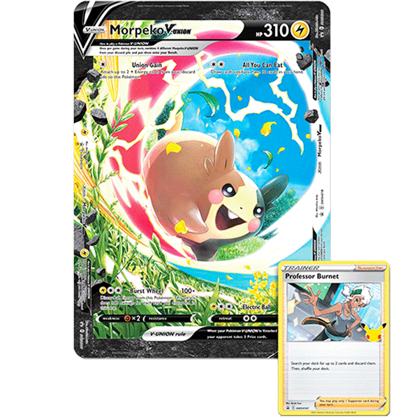 Morpeko V-UNION Special Collection - Iconic Evolution