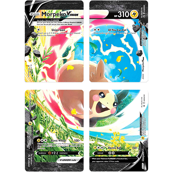 Morpeko V-UNION Special Collection - Iconic Evolution