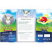 Pokemon GO - Premium Collection (Radiant Eevee) - Iconic Evolution